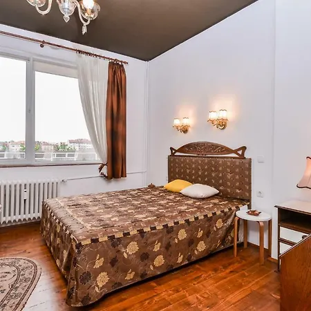 Apartament Elegant & Authentic, One Bedroom Apartment, National Palace Of Culture View *